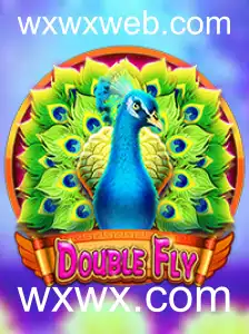 Descubra o Fascinante Mundo de DoubleFly